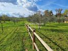 House MANOSQUE 