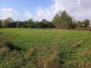 Annonce Vente Terrain Saint-ciers-sur-gironde