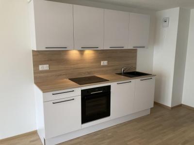 Location Appartement MULHOUSE 68100