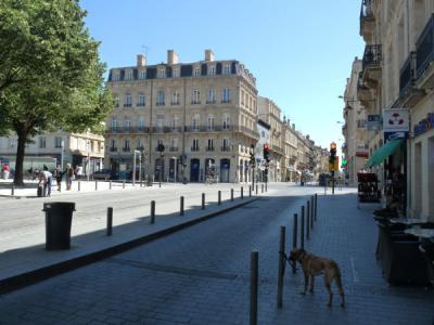 photo For rent Apartment BORDEAUX 33