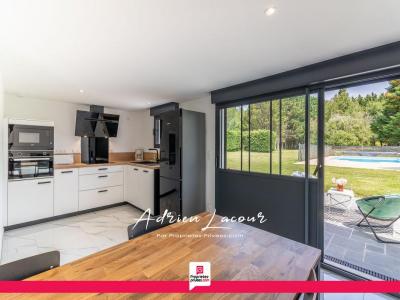 photo For sale House PRUNIERS-EN-SOLOGNE 41