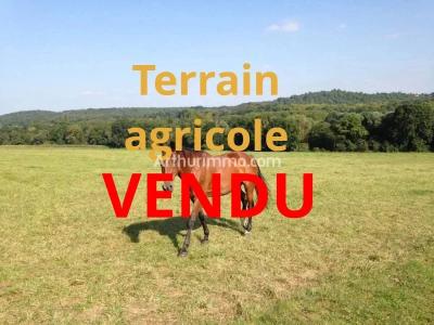 Vente Terrain BESANCON  25