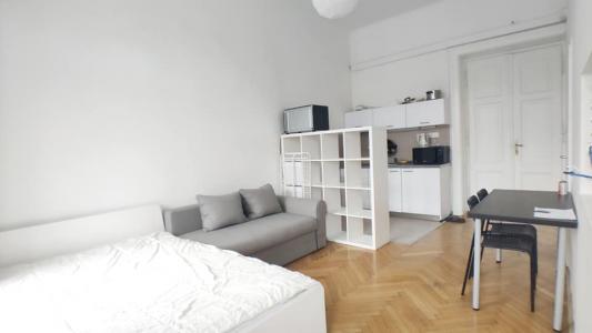 photo For rent Apartment LYON-1ER-ARRONDISSEMENT 69