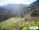 Acheter Terrain Uchentein Ariege