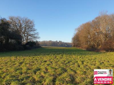 Vente Terrain BETHONCOURT 25200