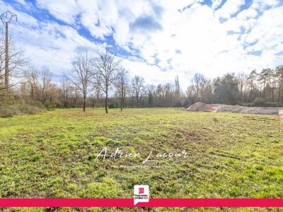 Vente Terrain PRUNIERS-EN-SOLOGNE  41