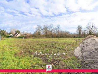 Vente Terrain PRUNIERS-EN-SOLOGNE  41