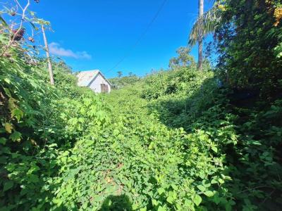 For sale Land SAINT-PAUL  974