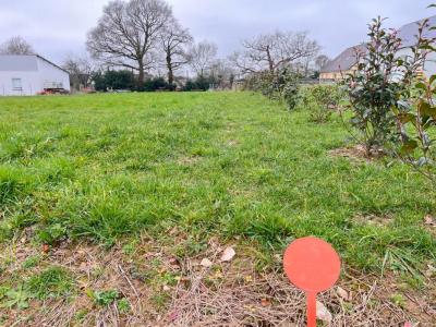 Vente Terrain CONQUEREUIL 44290