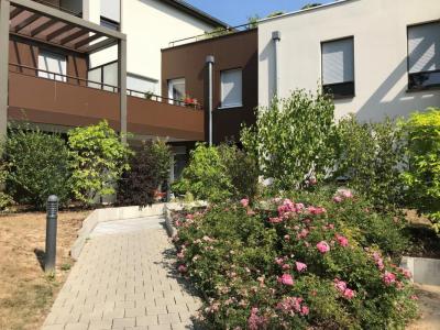 For rent Apartment OBERNAI 