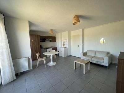 photo For rent Apartment FROUZINS 31