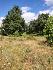 photo For sale Land CASTETS 40