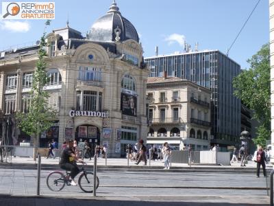 Vente Local commercial MONTPELLIER 34090