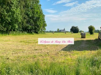 photo For sale Land MOURIEZ 62