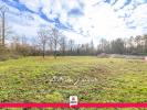 Vente Terrain Pruniers-en-sologne 41