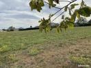 Annonce Vente Terrain Saint-cyr