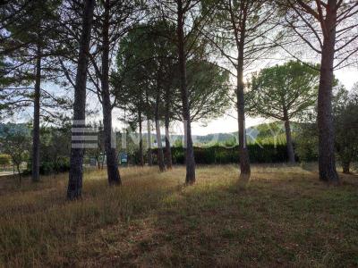 photo For sale Land FIGANIERES 83