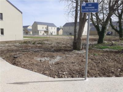 photo For sale Land AVOINE 37