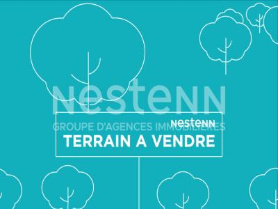 Vente Terrain VINEUIL 41350