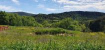 For sale Land Taussac-la-billiere PROCHE LAMALOU LES BAINS 34600