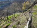 Acheter Terrain Belvedere Alpes Maritimes