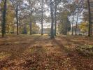 Acheter Terrain Bazas Gironde