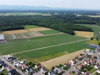 photo For sale Land BINDERNHEIM 67