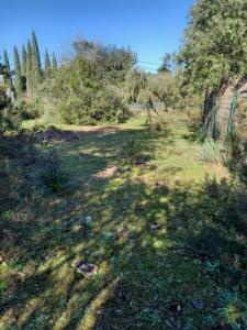 photo For sale Land CANNET-DES-MAURES 83