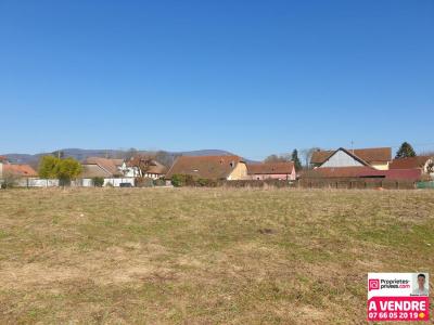 photo For sale Land CHAUX 90