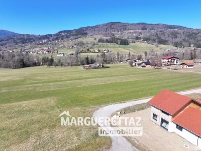 photo For sale House VILLARD 74