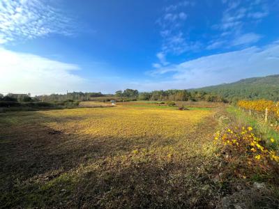 Vente Terrain VINEZAC 07110