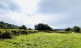 For sale Land Goudargues A 5KM DE GOUDARGUES 30630