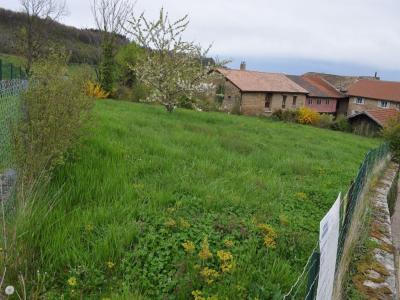 photo For sale Land SAINT-DIDIER-AU-MONT-D'OR 69