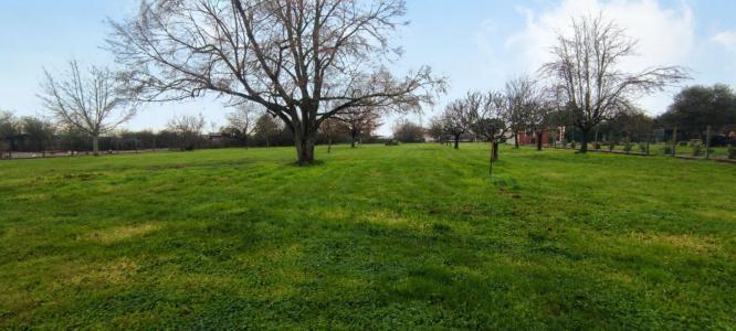 photo For sale Land PORCHERES 33