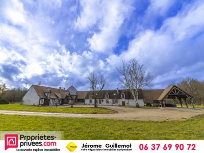 photo For sale Prestigious house ROMORANTIN-LANTHENAY 41