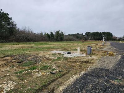 Vente Terrain TAILLAN-MEDOC 33320