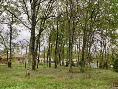 For sale Land SAINT-MEDARD-EN-JALLES  33