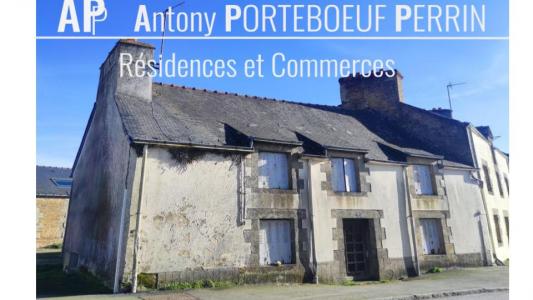 Vente Maison 3 pices REGUINY 56500