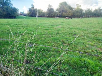 For sale Land SAINT-CYR-SUR-MENTHON  01