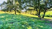 For sale Land Bergerac  24100 2200 m2