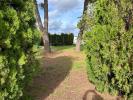 For sale Land Saint-andre-de-sangonis 34725 700 m2