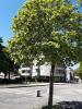 For rent Apartment Hericourt 70400 62 m2 3 rooms