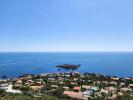 Vente Terrain Saint-raphael 83700 3183 m2