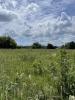 Vente Terrain Lande-de-fronsac 33240 370 m2