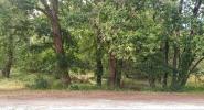For sale Land Soulac-sur-mer 33780 1242 m2