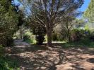 For sale Land Saint-cyprien 66750 28576 m2