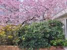 For sale Apartment Brunoy 91800 87 m2 4 rooms