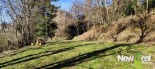 For sale Land Serilhac 19190 3924 m2
