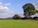 For sale Land Decines-charpieu 69150 500 m2