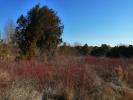 For sale Land Miramas 13140 300 m2